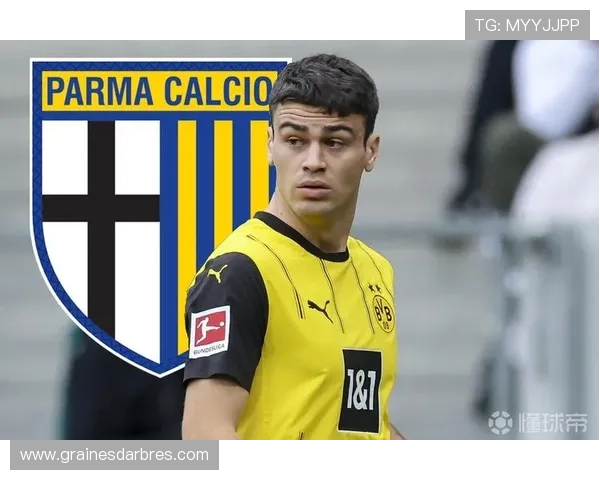 德天空:雷纳转会门兴存变数 多特让步成关键因素 德天空:雷纳转会门兴存变数 多特让步成关键因素