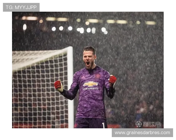 德赫亚求推荐好看动漫 曼联球迷纷纷推荐围绕比赛展开 德赫亚求推荐好看动漫 曼联球迷纷纷推荐围绕比赛展开