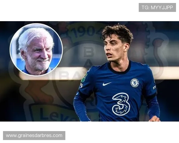 沃勒尔透露哈弗茨将缺席下月世预赛 手术是否必要尚未确定 沃勒尔透露哈弗茨将缺席下月世预赛 手术是否必要尚未确定