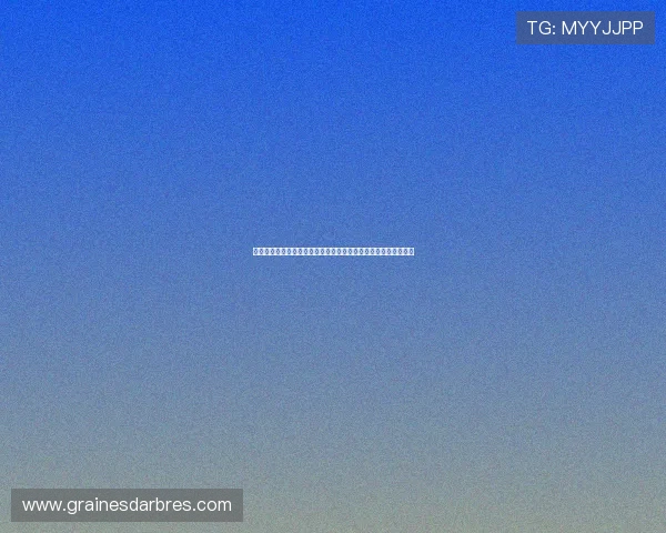 本菲卡主席候选人科斯塔强调选举期间换帅应提前通报球队管理层