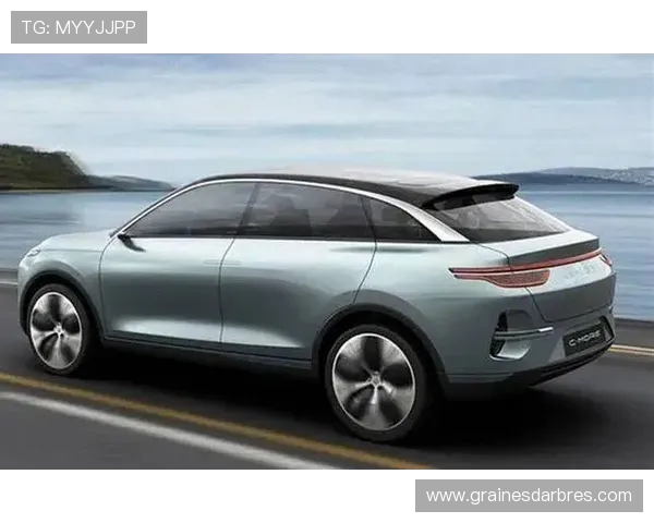 零跑汽车宣布吉鲁成为第16万名零跑C10车主标志着品牌新里程碑