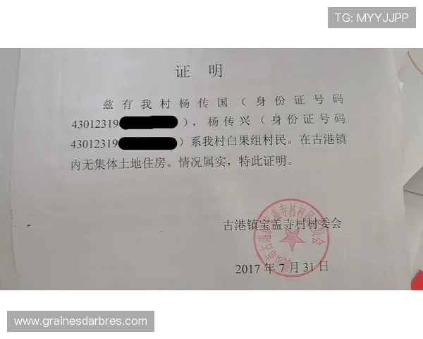 因莫比莱创办青训机构遭查封涉嫌违建引发舆论热议 因莫比莱创办青训机构遭查封涉嫌违建引发舆论热议