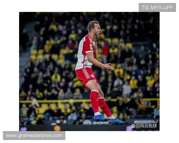 基米希：全队支持凯恩争金球奖 他为集体而战