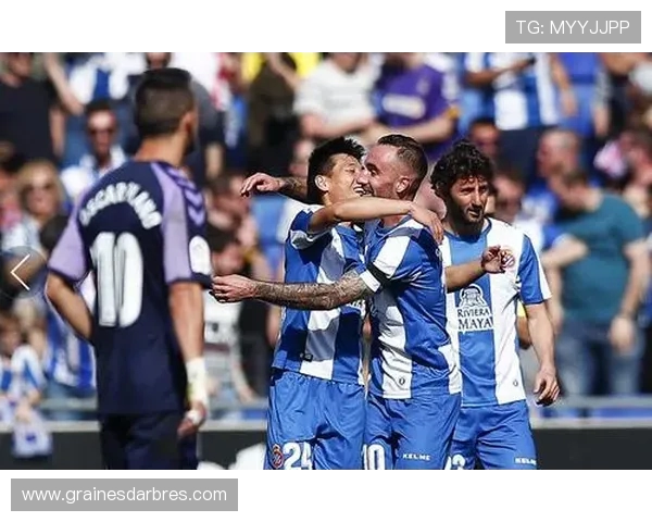 科特布斯球迷观赛突发疾病送医不治莱比锡比赛陷入悲痛氛围 科特布斯球迷观赛突发疾病送医不治莱比锡比赛陷入悲痛氛围