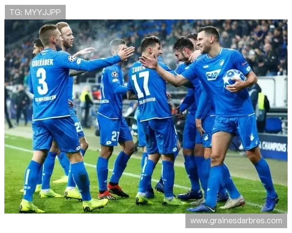 霍芬海姆上半场2-0领先海登海姆 展现强势攻防表现