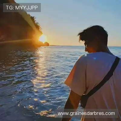 韦希戈
